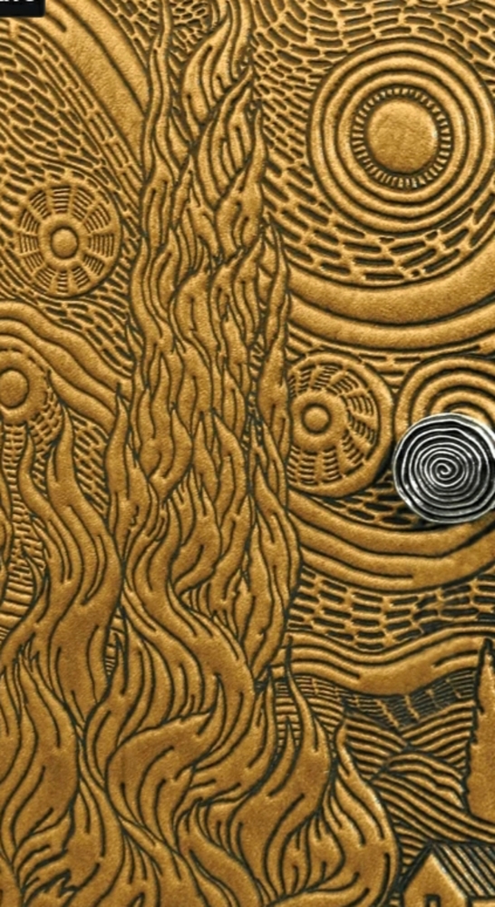 Starry night case